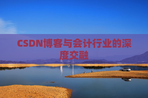 CSDN博客与会计行业的深度交融
