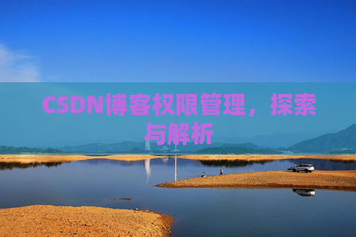 CSDN博客权限管理，探索与解析